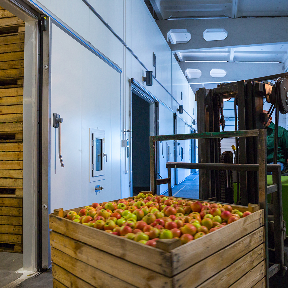 The 4 Best Practices for Shipping Perishables and Frozen Foods