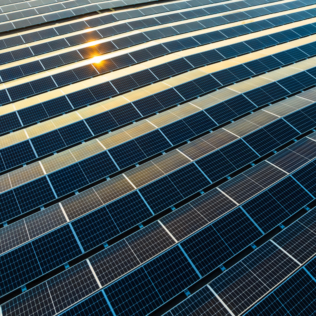 Implementing Sustainable Practices in Your Logistics