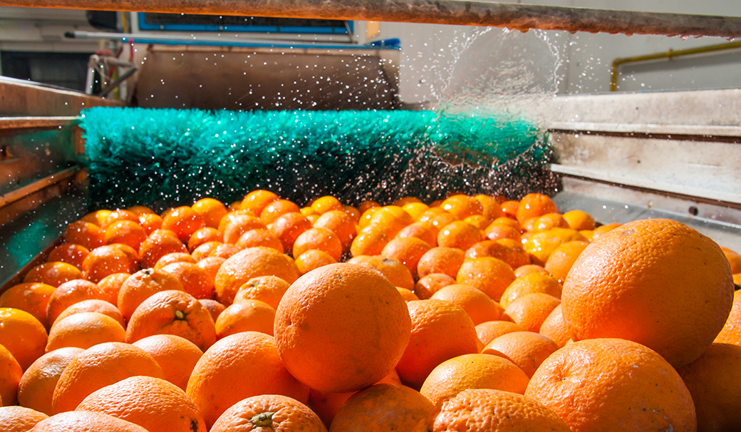 ISS’ Guide to Shipping Perishable Goods