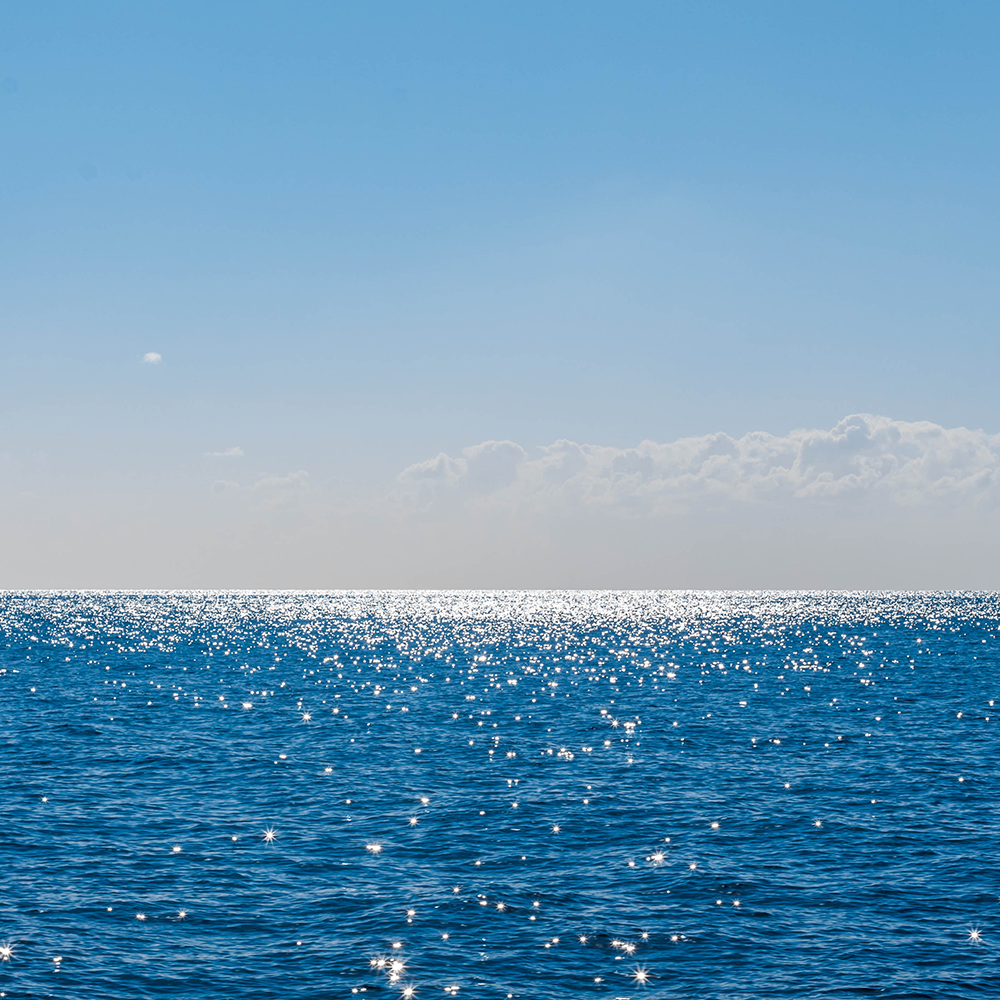 The Impact of the Red Sea Crisis on International Shipping